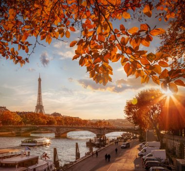 Fransa 'da sonbahar yapraklarına karşı Eyfel Kulesi ile Paris