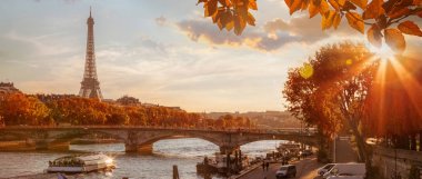 Fransa 'da sonbahar yapraklarına karşı Eyfel Kulesi ile Paris