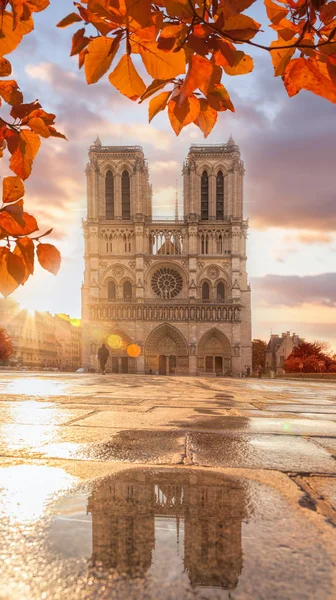 Catedral de Notre Dame con hojas de otoño en París, Francia — Foto de Stock