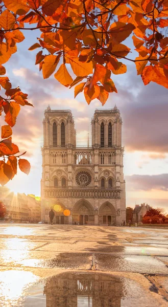 秋のノートルダム大聖堂、パリの葉します。 — ストック写真