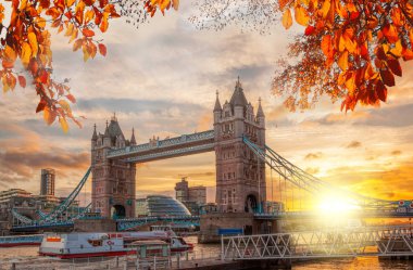 Londra, İngiltere, İngiltere'de Tower Bridge ile sonbahar yaprakları