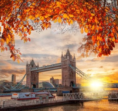 Londra, İngiltere, İngiltere'de Tower Bridge ile sonbahar yaprakları