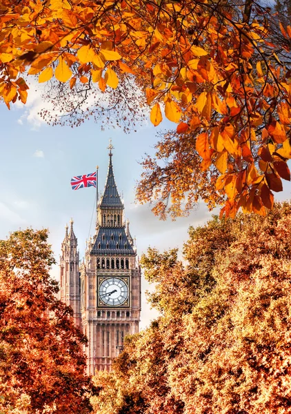 Big Ben clock against autumn leaves in London, England, UK — Stock Photo, Image