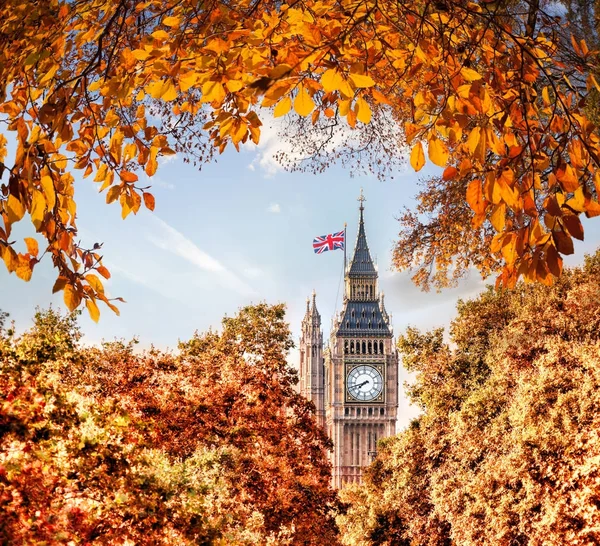 Grote Ben klok tegen herfst bladeren in Londen, Engeland, Uk — Stockfoto