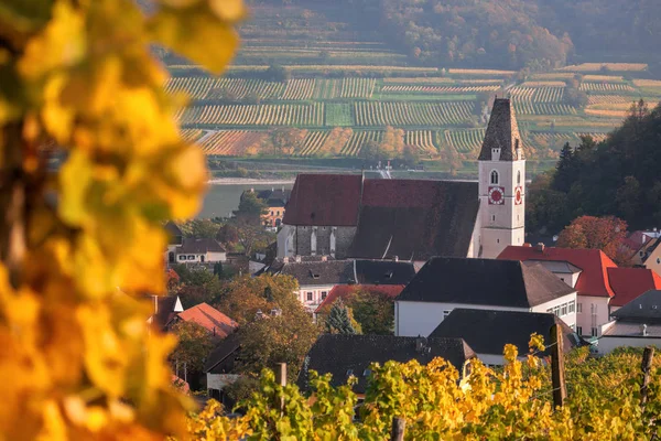 Célèbre vignoble avec église à Spitz, Wachau, Autriche — Photo