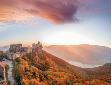 Aggstein Kalesi ile sonbahar orman Wachau, Avusturya