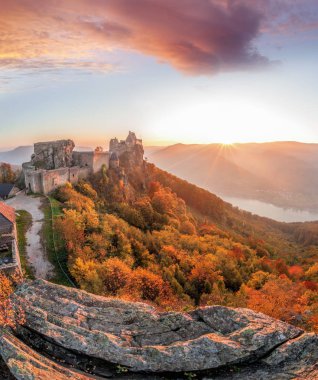 Aggstein Kalesi ile sonbahar orman Wachau, Avusturya