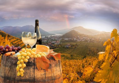 Beyaz şarap varil üzerinde ünlü üzüm bağıyla Wachau, Spitz, Avusturya ile