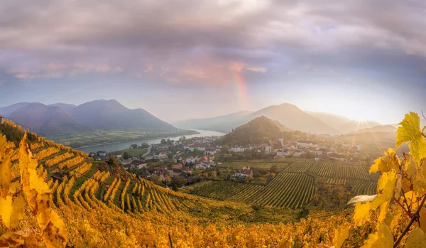 Famosos viñedos en Wachau, Spitz, Austria — Foto de Stock