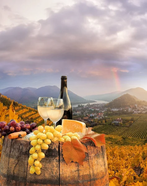 Witte wijn met vat op beroemde wijngaard in Wachau, Spitz, Oostenrijk — Stockfoto