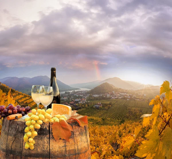 Beyaz şarap varil üzerinde ünlü üzüm bağıyla Wachau, Spitz, Avusturya ile — Stok fotoğraf