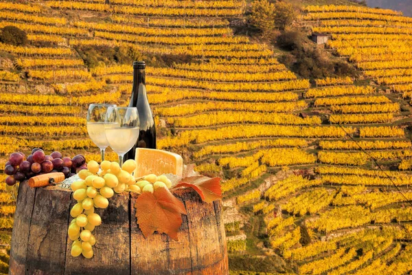 Белое вино с бочкой на знаменитом винограднике в Вахау, Шпиц, Австрия — стоковое фото