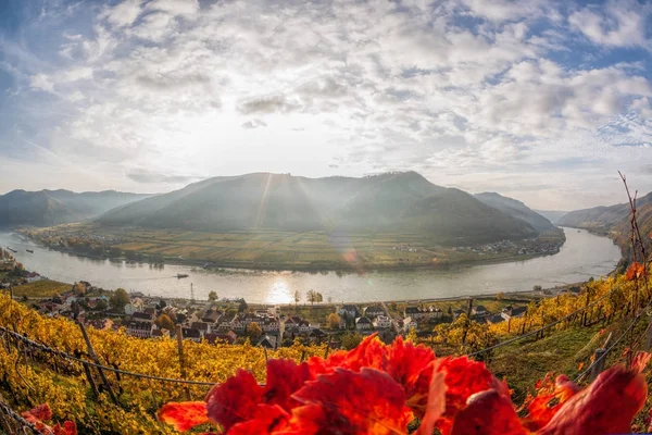 Peisaj din valea Wachau, sat Spitz cu Dunăre în Austria . — Fotografie, imagine de stoc