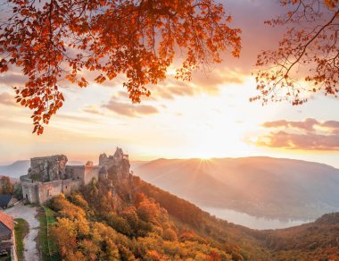 Aggstein Kalesi ile sonbahar orman Wachau, Avusturya