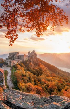 Aggstein Kalesi ile sonbahar orman Wachau, Avusturya