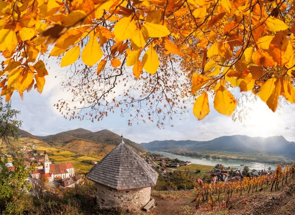 Paisagem do vale de Wachau, aldeia de Spitz com rio Danúbio na Áustria . — Fotografia de Stock