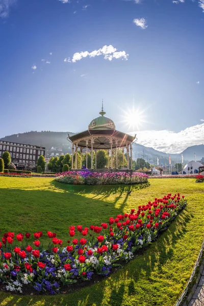 Altan avec tulipes rouges au printemps à Bergen, Norvège — Photo