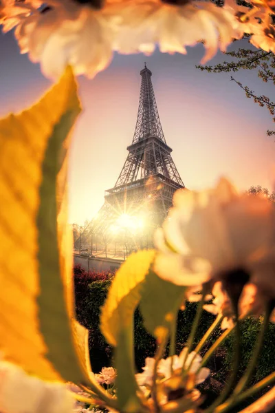 エッフェル塔パリ、フランスの春の時間の間に — ストック写真