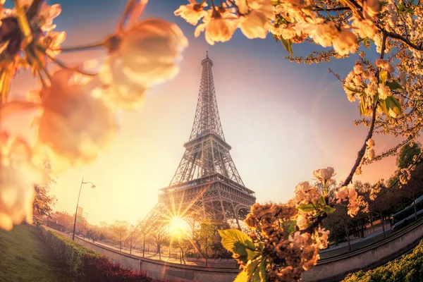 Eiffel Tower during spring time in Paris, France — Stock Photo, Image