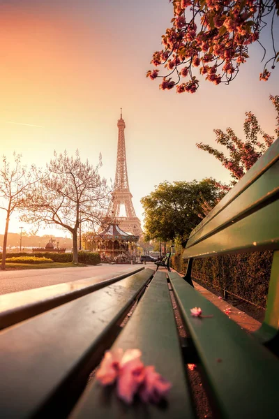 Torre Eiffel con árboles de primavera en París, Francia — Foto de Stock