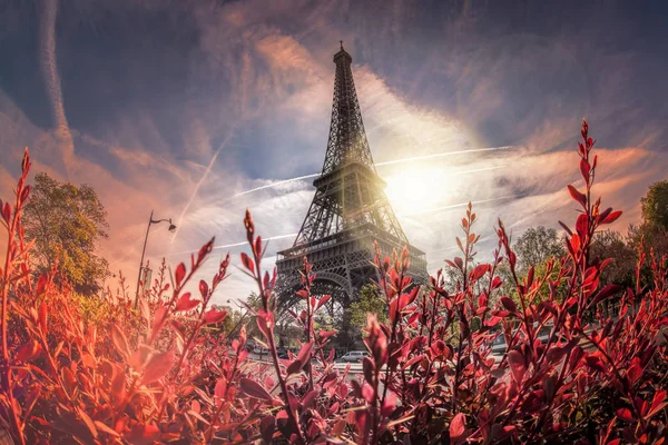 Ейфелева вежа під час весна в Парижі — стокове фото
