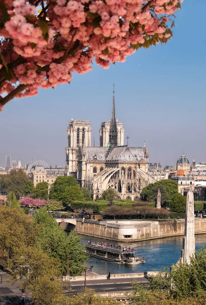 Paris, Kathedrale Notre Dame mit Boot auf seiner, Frankreich — Stockfoto