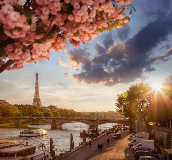 Paris with Eiffel Tower against spring tree in France — Stock Photo, Image