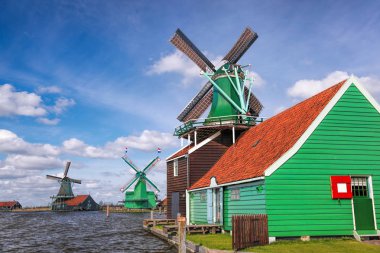 Zaanse Schans'a, Amsterdam alan, Hollanda Lale ile geleneksel Hollanda yel değirmenleri