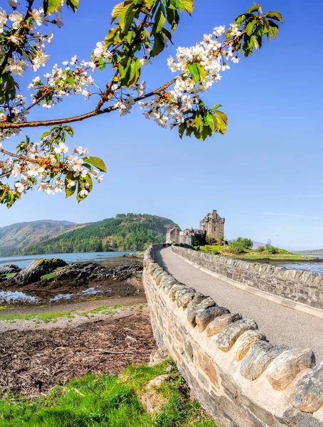 The Eilean Donan Castle with spring tree in Highlands of Scotland — Stock Photo, Image