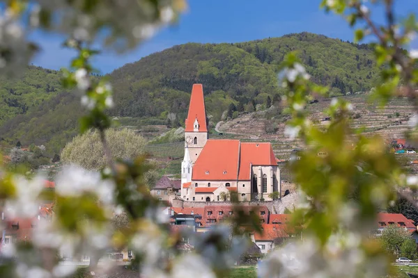 Weissenkirchen aldeia durante a primavera em Wachau, Áustria — Fotografia de Stock