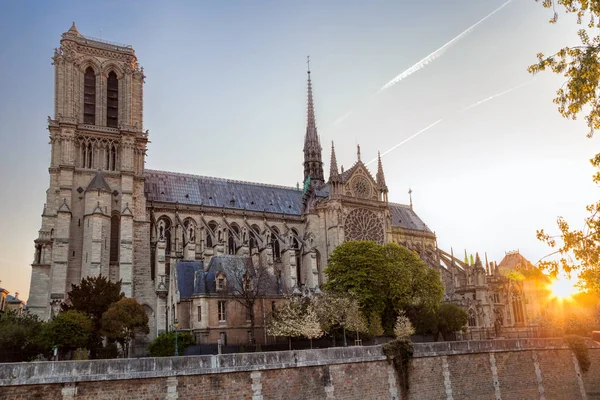 Parijs, Notre Dame kathedraal met lentebomen in Frankrijk — Stockfoto