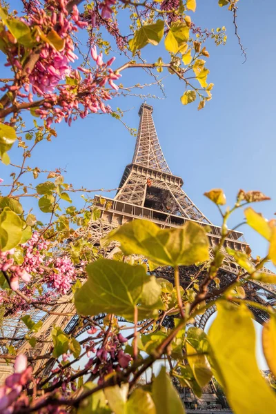 Eiffel Tower during spring time in Paris, France — Stock Photo, Image