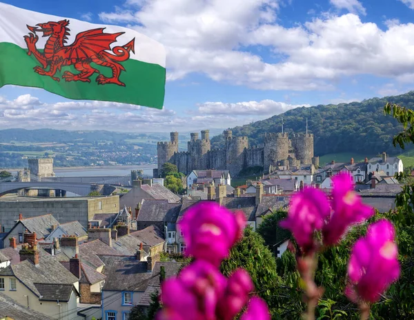 Famoso castillo de Conwy en Gales, Reino Unido, serie de castillos Walesh —  Fotos de Stock