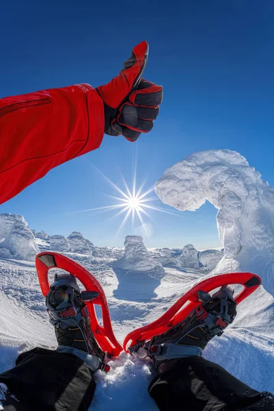 Sapato de neve contra floresta de inverno com céu azul — Fotografia de Stock