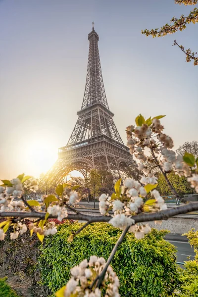 Menara Eiffel Dengan Pohon Pohon Musim Semi Terhadap Matahari Terbit — Stok Foto