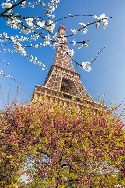 Eiffelturm Mit Frühlingsbäumen Paris Frankreich — Stockfoto