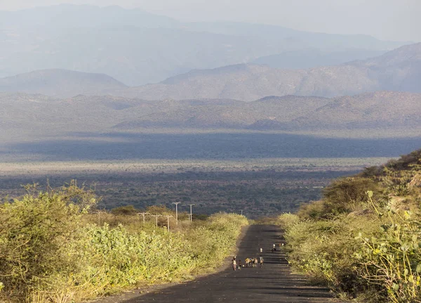 Herders on highway in the evening. Omo Valley. Ethiopia — Stock Photo, Image