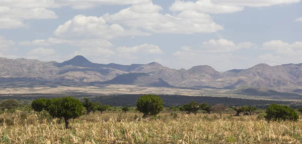 African landscape. Omo Valley. Ethiopia. — Stock Photo, Image