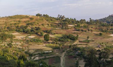 Geleneksel Dorze insanlar tarım Terası. Hayzo köyü yakınlarında