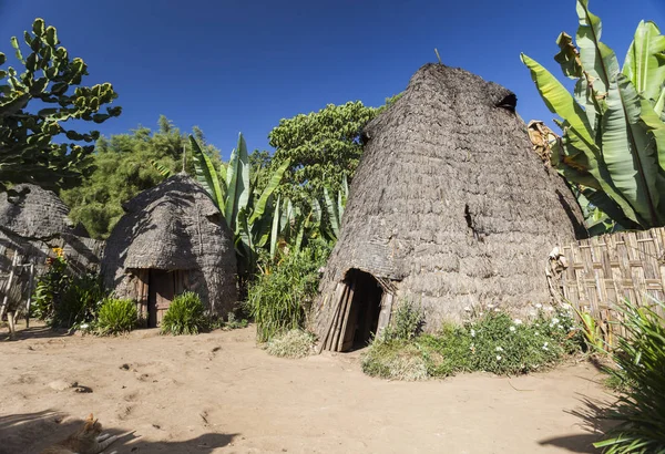 Geleneksel Dorze evler gibi fil kafa. Hayzo Köyü, Omo — Stok fotoğraf