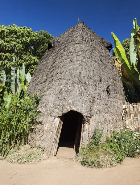 Fil kafa geleneksel Dorze ev gibi. Hayzo Köyü, Omo V — Stok fotoğraf
