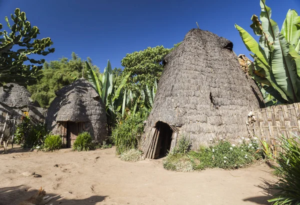 Cabeza de elefante como las tradicionales casas Dorze. Pueblo de Hayzo, Omo Imágenes de stock libres de derechos