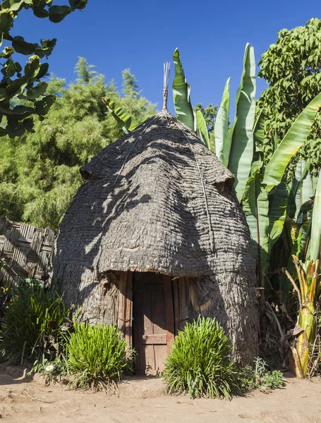 大象头喜欢传统 Dorze 房子。Hayzo 村庄，奥妙 V 免版税图库照片