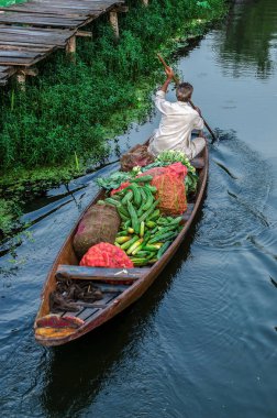 Dal gölde sabah sebze pazarı