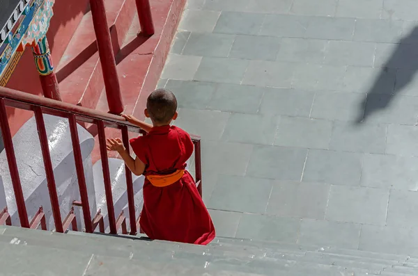 Hemis Manastırı, bir Tibet Budist manastır (gompa)