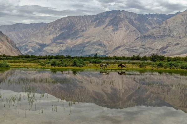 Nubra Valley, doğanın keşfedilmemiş bölge