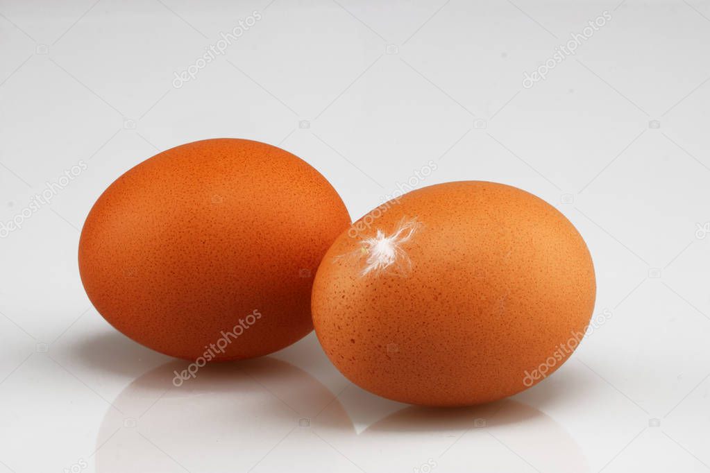 Two eggs with feather