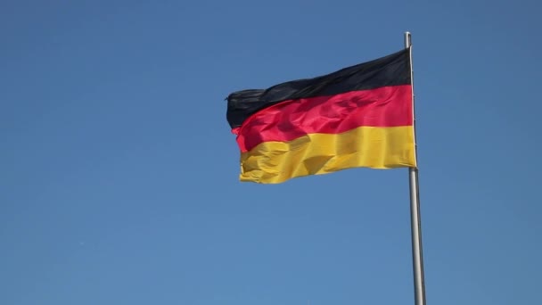 Official German Flag Wind Slow Motion Percent — Stock Video