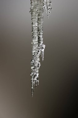 Eriyen bir buz saçağı - gri arkaplana izole edilmiş