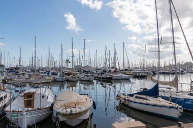 Palma, Mallorca, İspanya limanı, tekne ve yatlarla dolu.